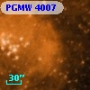 PGMW 4007