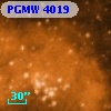 PGMW 4019
