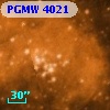 PGMW 4021