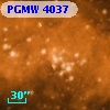 PGMW 4037
