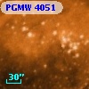 PGMW 4051