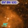 SV* DV   132