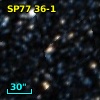 SP77  36-1