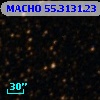 MACHO  55.3131.23