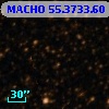 MACHO  55.3733.60