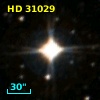 HD  31029