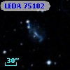 LEDA   75102