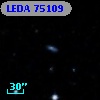 LEDA   75109