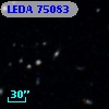 LEDA   75083