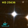 HD  25636