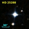 HD  25288