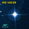 HD  19239