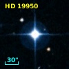 HD  19950