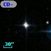 CD-59   585