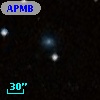 APMBGC 116-038+021