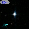 CD-59   586