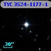 TYC 3524-1177-1
