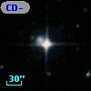 CD-55   598