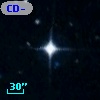 CD-53   481