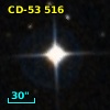 CD-53   516