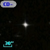 CD-55   579