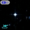 CD-53   433