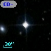 CD-52   503