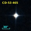 CD-53   465