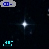 CD-53   485