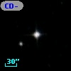 CD-53   498