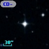 CD-53   459
