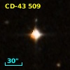 CD-43   509