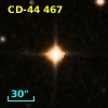 CD-44   467