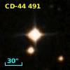 CD-44   491