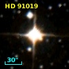 HD  91019