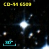 CD-44  6509