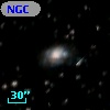 NGC  3262