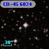 CD-45  6024