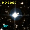 HD  91037