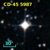 CD-45  5987