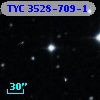TYC 3528-709-1