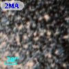 2MASS J10172380-4623103