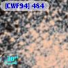 [CWF94] 484