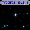 TYC 3529-1317-1