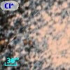 Cl* NGC 3201   CWFD  3-316