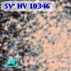 SV* HV 10346