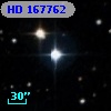 HD 167762