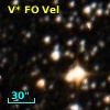 V* FO Vel