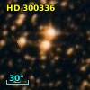 HD 300336