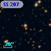SS 207
